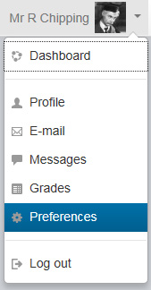 Preferences on the profile menu