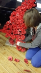 Fixing the poppies