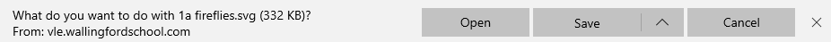 Downloading an Image